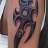 omer_y85