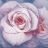 ahmet_gulcan