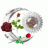 nsle