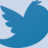 Twitter Kuşu