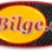 bilge_ticaret