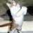 azrail_ali13