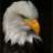 eagle_____1903
