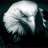 kartal1000