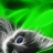 haso_dead