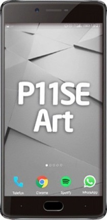 P11SE Art