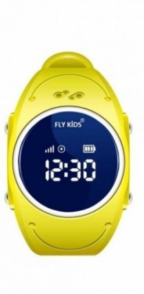 FLY 300