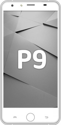  P9