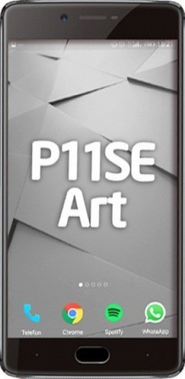 P11SE Art