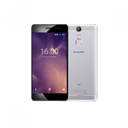 A1