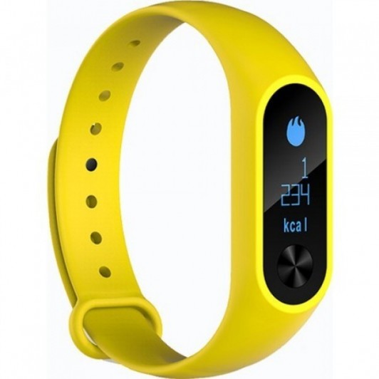 T9 Fit2