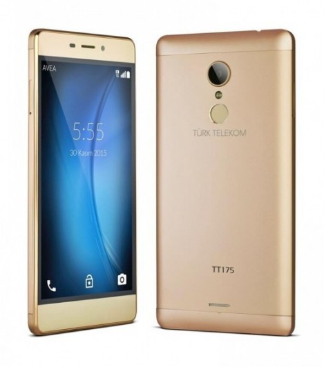 TT175