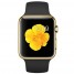 Watch Edition (38mm)