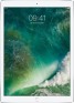 iPad Pro 12.9 WiFi + Cellular