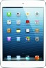 iPad Mini
