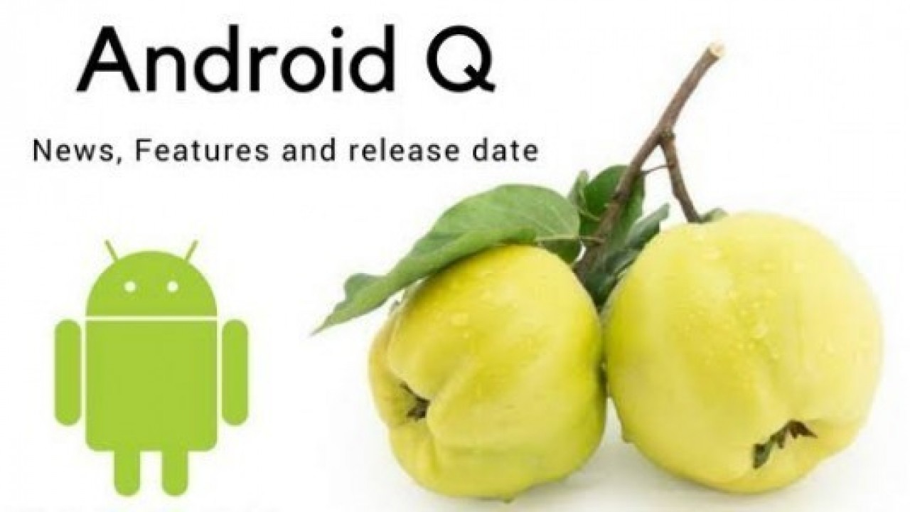Android Q Yenilikleri Ortaya Çıkmaya Devam Ediyor