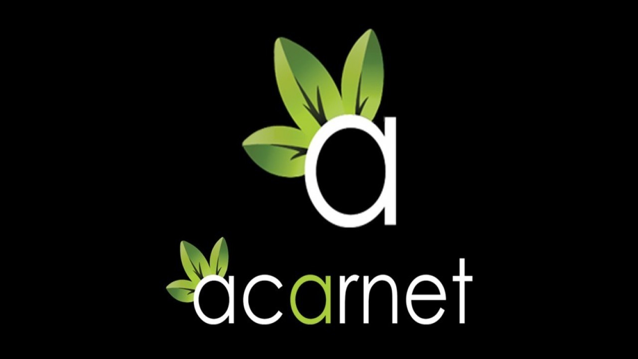 Kaliteli Web Tasarim Sirketleri Istanbul Da Mi Maxicep