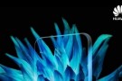 Huawei G10, Çift Ön ve Arka Kamera ile 22 Eylül'de Duyurulacak 
