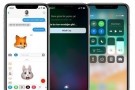 Apple, resmi iOS 11 kullanım oranını duyurdu