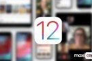 iOS 12 Yükselişi İle iOS 11'i Geride Bırakmayı Başardı