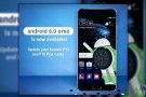 Huawei P10 İçin Android 8.0 Oreo Güncellemesi Başladı