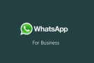 WhatsApp Business, Windows’lu telefonlara da gelecek