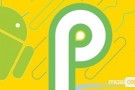 Android P Beta 2 artık Pixel telefonlara indirilebilir