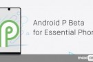 Essential Phone, Android P Beta 1 Güncellemesi Aldı