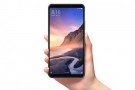 Xiaomi Mi Max 3 kamerasıyla çekilen görüntüler