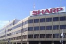 Sharp Yeni OLED Paneller Üretmeye Başlıyor