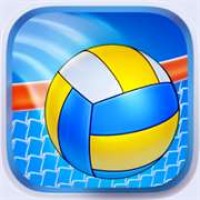 Volleyball Champion 2014