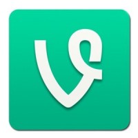 Vine