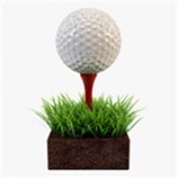 Mini Golf Club
