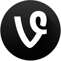  Vine Camera