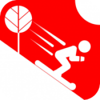 Just Ski