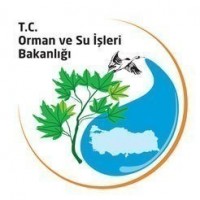 Ava Avcı