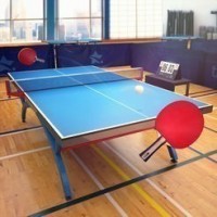 Table Tennis Touch