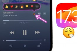 iOS 17.3 ile Gelen Yeni Özellikler