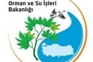Ava Avcı