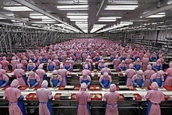 Foxconn'un 60.000 işçi yerine makineleri konumlandırdığı kaydediliyor