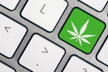 Microsoft, yasal esrar tohumu üretimi için düğmeye bastı