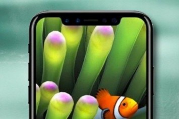 İphone 8 Seri Üretimi Başladı Mı? 
