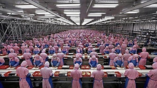 Foxconn'un 60.000 işçi yerine makineleri konumlandırdığı kaydediliyor