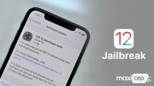 iOS 12 Beta 12 Jailbreak edildi