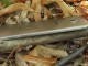 Galaxy A8 (2016) Exynos 7420 İşlemci ile Göründü 