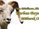 Kurban Bayramınız Kutlu Olsun