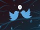 Twitter Heyecanla Beklenen Yeniliğini Nihayet duyurdu 