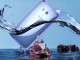 HTC U11 için Android Oreo Güncellemesi Bugün ABD'de Başlıyor