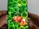 Akıllı telefonlar için en iyi duvar kağıtları