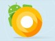 Android O Güncellemesi Alacak Muhtemel Sony Xperia Cihazların Listesi